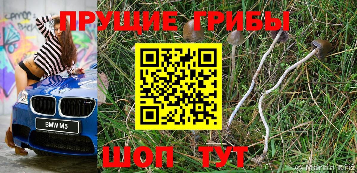 закладки  Псилоцибиновые грибы прущие грибы  Вход с VPN  Кингисепп 