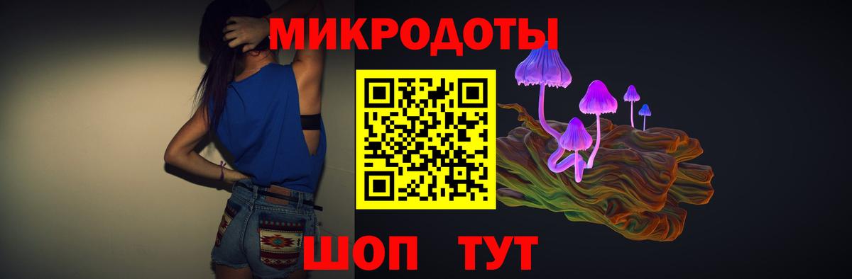Галлюциногенные грибы мухоморы Кингисепп